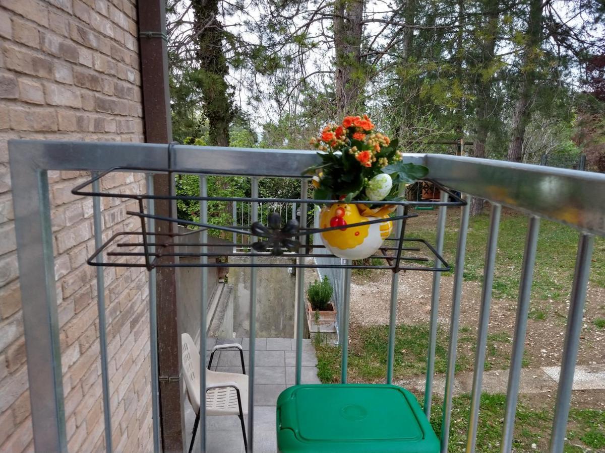 B&B Il Torchio-Урбино Екстериор снимка